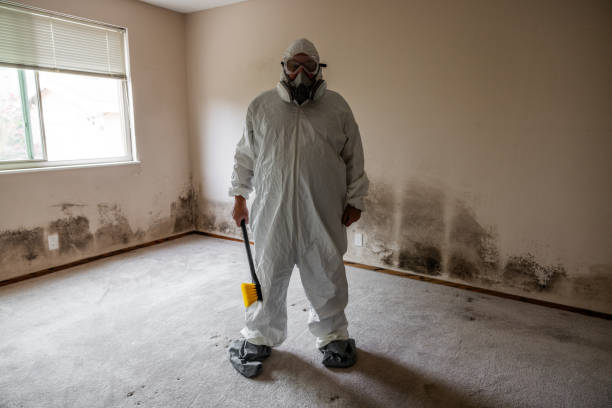 Best Toxic Mold Removal  in Oak Grove, MO